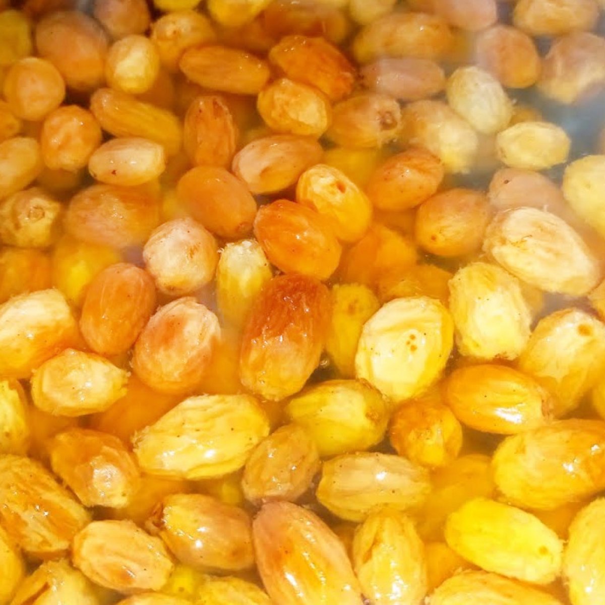 Kuru Üzüm Hoşafı